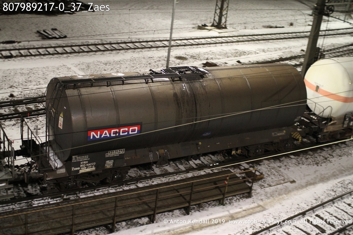 807989217-0_37_Zaes.JPG